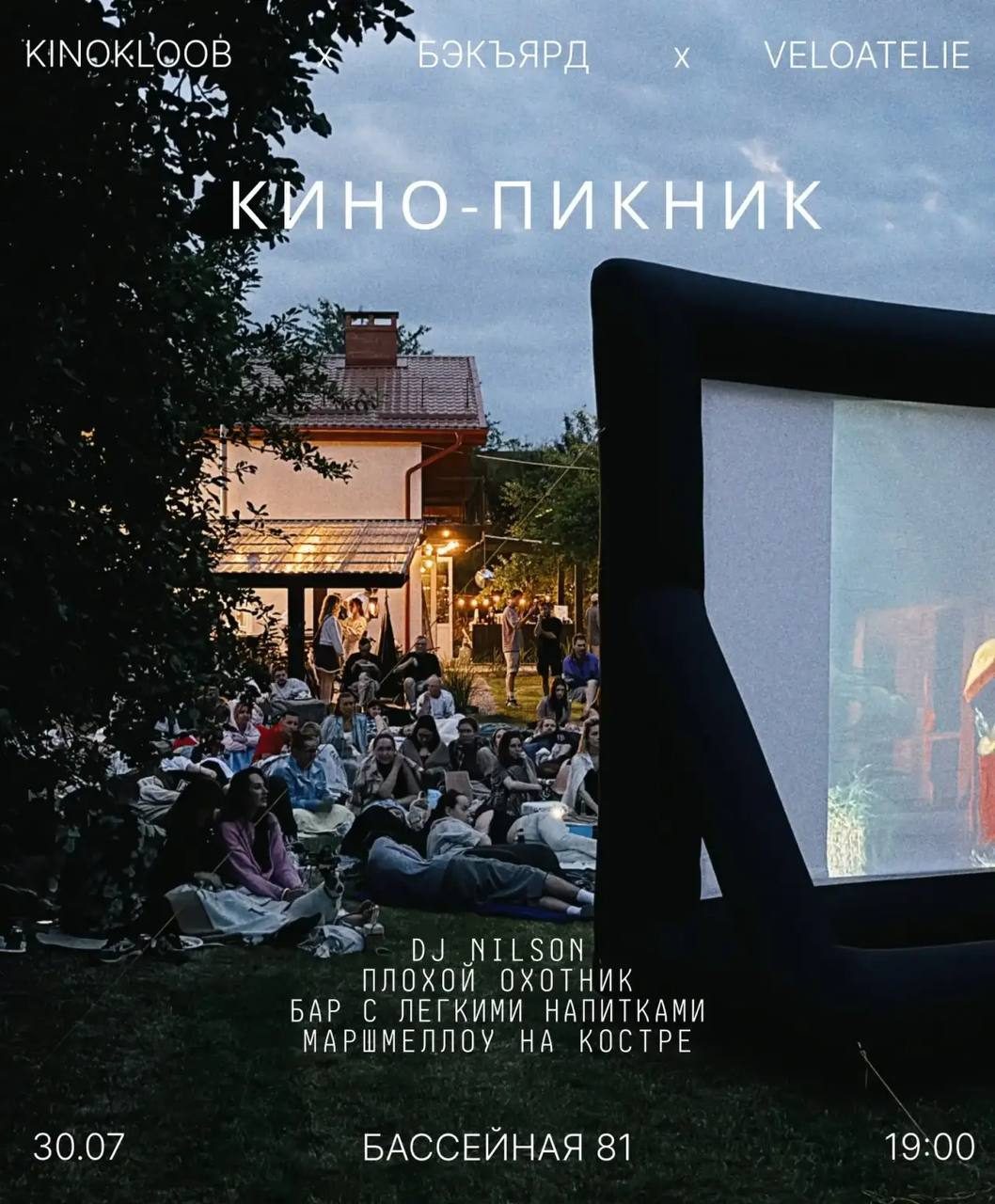 Кинопикник